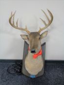 An electronic wall mounted deer's head.