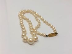 A single strand pearl necklace with 9ct gold clasp