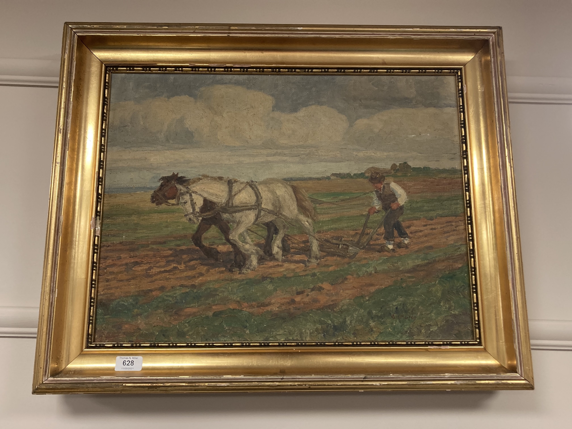 Continental school : A study of horses in a field, oil on canvas, 56 cm x 42 cm,