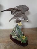 A Border Fine Arts figure of a Peregrine Falcon on rock by R T Roberts,