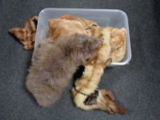 A box of fur coat and two fox fur stoles