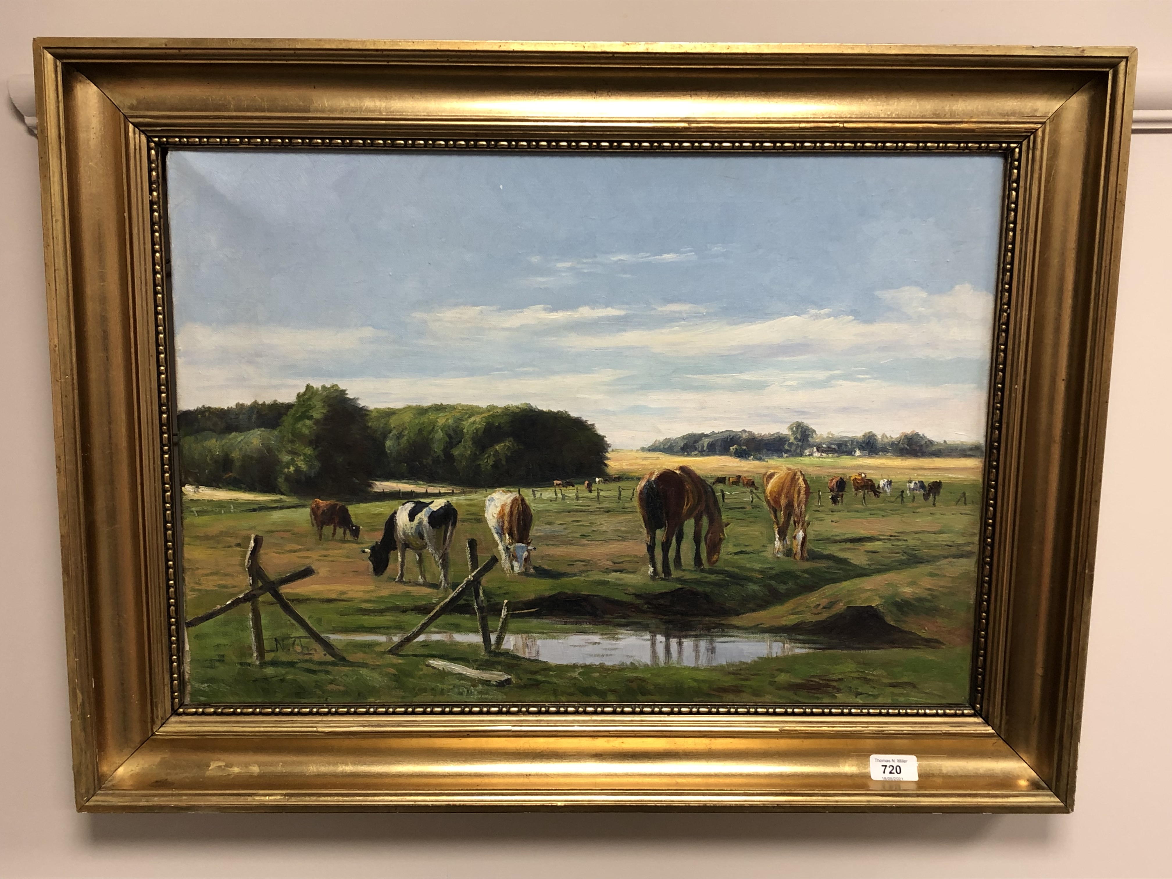 Continental School : Horses in a field, oil on canvas, 63 cm x 44 cm, framed.