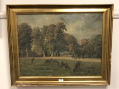 Continental School : A group of deer, oil on canvas, signed Jacobsen, 63 cm x 48 cm, framed.