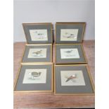 Nine gilt framed coloured book plates depicting birds.