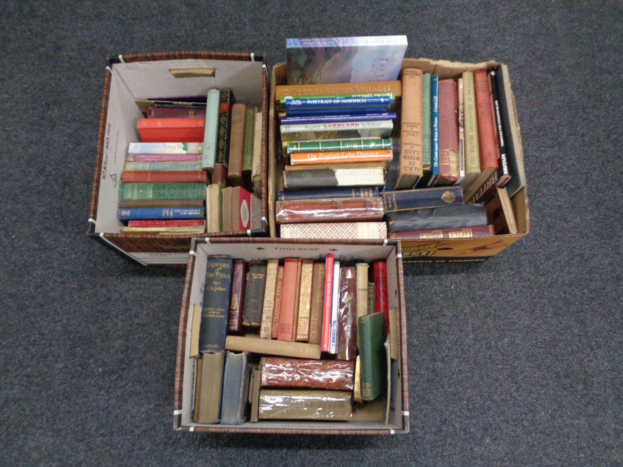 Three boxes of early 20th century and later books to include Alice in Wonderland with colour