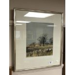 D. Shannon (Scottish, 20th century) : Farmland, watercolour, 25 cm x 30 cm, framed.