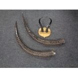 A pair of springbok horns mounted on a shield together with a further pair of gazelle horns.