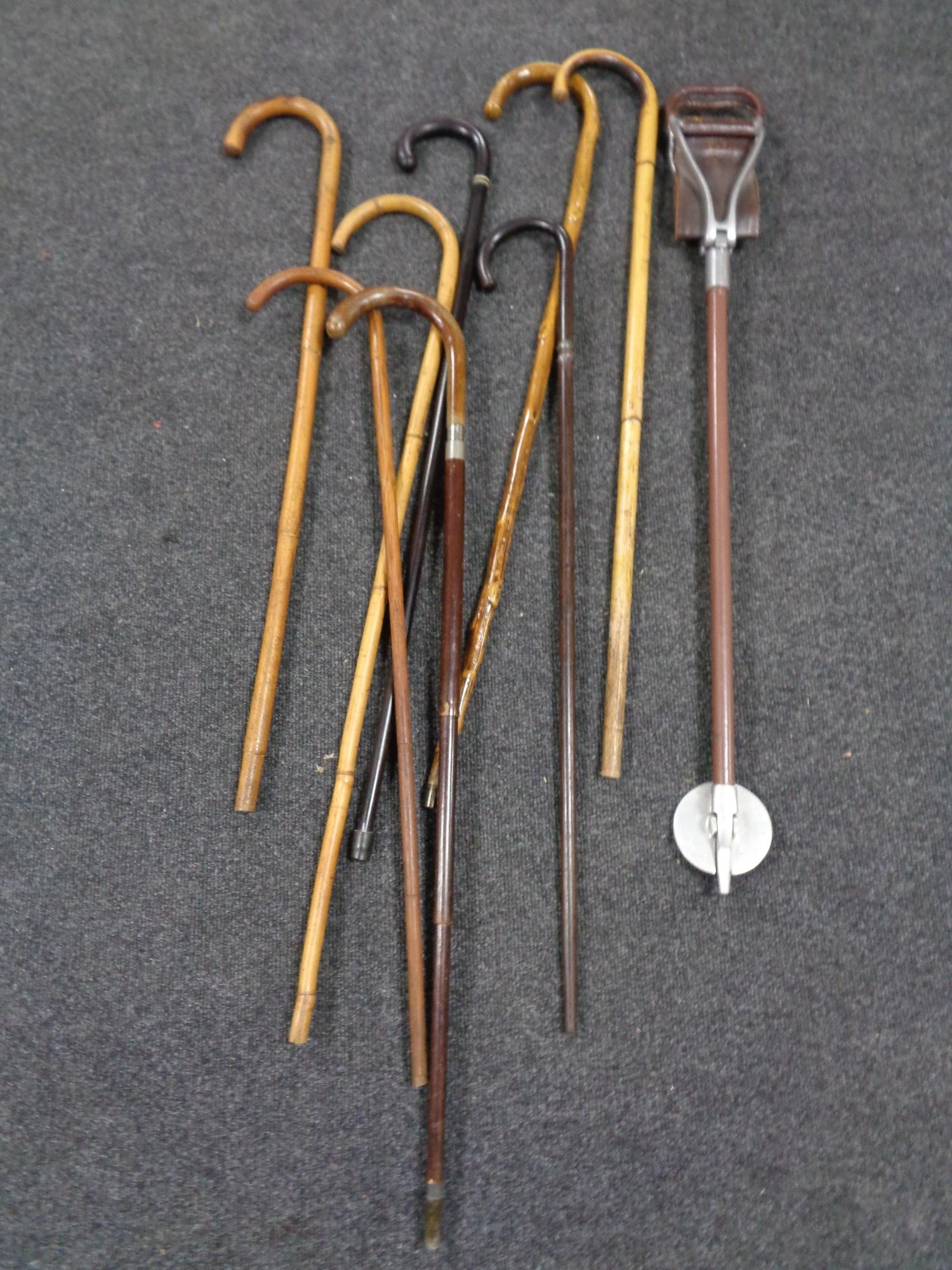 A bundle of eight antique and later walking sticks together with a shooting stick.