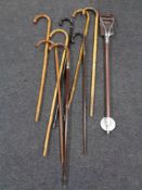 A bundle of eight antique and later walking sticks together with a shooting stick.