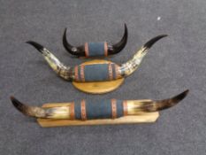 Three pairs of mounted cow horns.