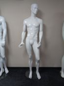 A male mannequin on stand (white gloss).