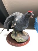 A Border Fine Arts figure, Blackcock A1278, on wooden stand.