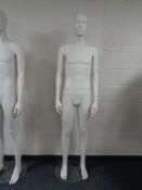 A male mannequin on stand (flesh matte).