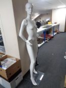 A female mannequin on stand (white gloss).