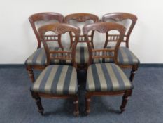 A set of five Edwardian mahogany dining chairs