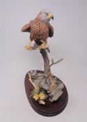 A Border Fine Arts figure - Harris Hawk CONDITION REPORT: Chip to tail feathers.