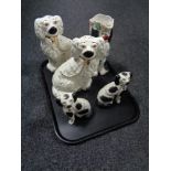 A tray of two pairs of Staffordshire dogs and a Staffordshire dog character jug