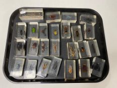 25 insect specimens in resin