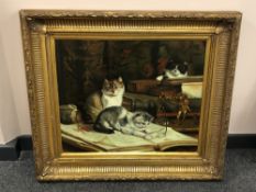 20th century school : A study of three kittens, oil on canvas, 60 x 50 cm, in a heavy gilt frame.