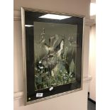 A 20th century school : Study of a deer in long grass, oil painting, signed with initials S. G. M.