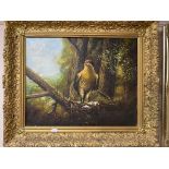 An antiquarian gilt framed oil on canvas of a falcon in nest, in a gilt composite frame.