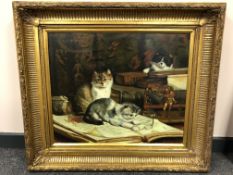 20th century school : A study of three kittens, oil on canvas, 60 x 50 cm, in a heavy gilt frame.