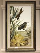 A 20th century school : Study of a kingfisher, oil on glass, 19 x 36 cm, framed.