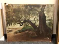 Continental school : A tree by rocks, oil on canvas, 80 x 65 cm.