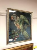 Continental school : A parrot on a branch, oil on canvas laid to board, 30 x 35 cm, framed.
