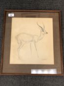 John R. Skeaping : Study of an antelope, pencil study, signed, 32 x 29 cm, framed.