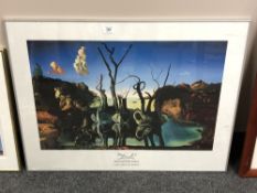 After Salvador Dali : Cygnes refletant des elephants, colour print, 79 x 59 cm, framed.