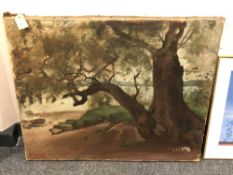Continental school : A tree by rocks, oil on canvas, 80 x 65 cm.