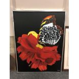 Continental school : Butterfly on a flower, oil on canvas, 60 x 80 cm, signed Bekker, framed.