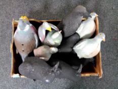 A box containing pigeon and crow decoys