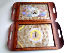 Two tourist butterfly trays