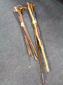 Two bundles of assorted walking sticks to include a walking cane with silver mount and pommel