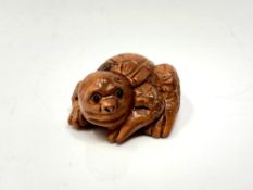 A carved Chinese hardwood netsuke - Mythical tortoise