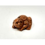 A carved Chinese hardwood netsuke - Mythical tortoise