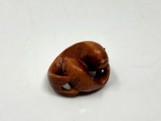 A carved Chinese hardwood netsuke - Two carp