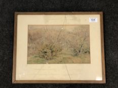 Wilmot Pilsbury (1840 - 1908) : A Woodland Landscape, watercolour, signed, dated 1891,