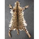 A leopard skin.