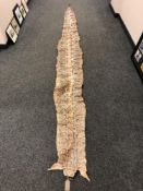 A python skin, approximately 380 cm in length.