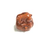 A carved Chinese hardwood netsuke - Two rats in a fruit