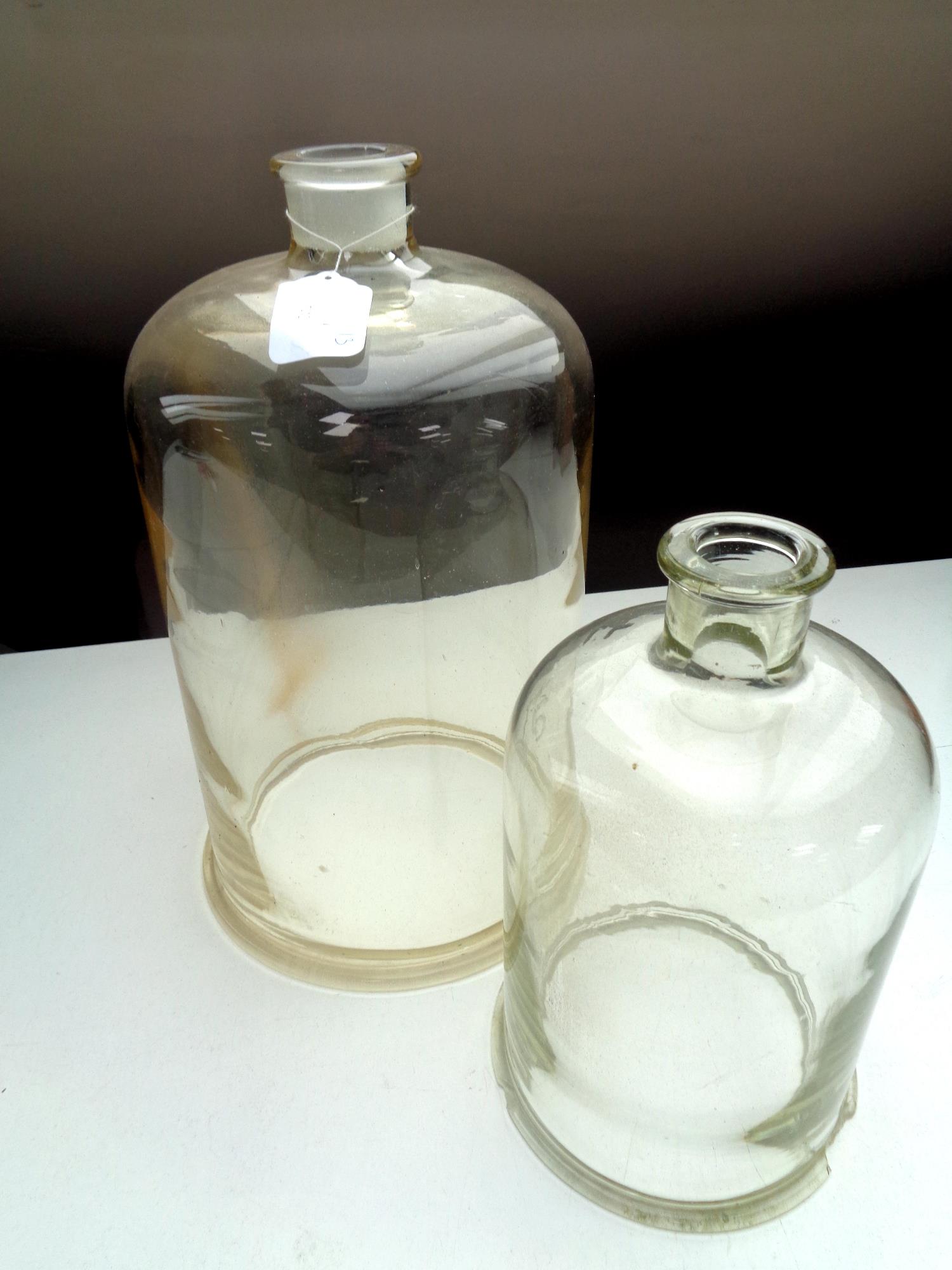 Two glass bell jars