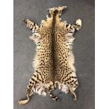 A leopard skin.