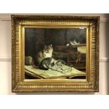 20th century school : Three cats on a library table, oil on canvas, 50 x 60 cm,