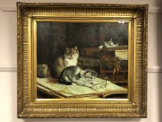 20th century school : Three cats on a library table, oil on canvas, 50 x 60 cm,