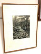 Paul Stangroom : Pathway, Dharakote, India, etching, an artist's proof, signed, dated '83,