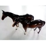 Two Beswick horses (brown gloss)