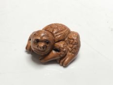 A carved Chinese hardwood netsuke - Mythical turtle creature